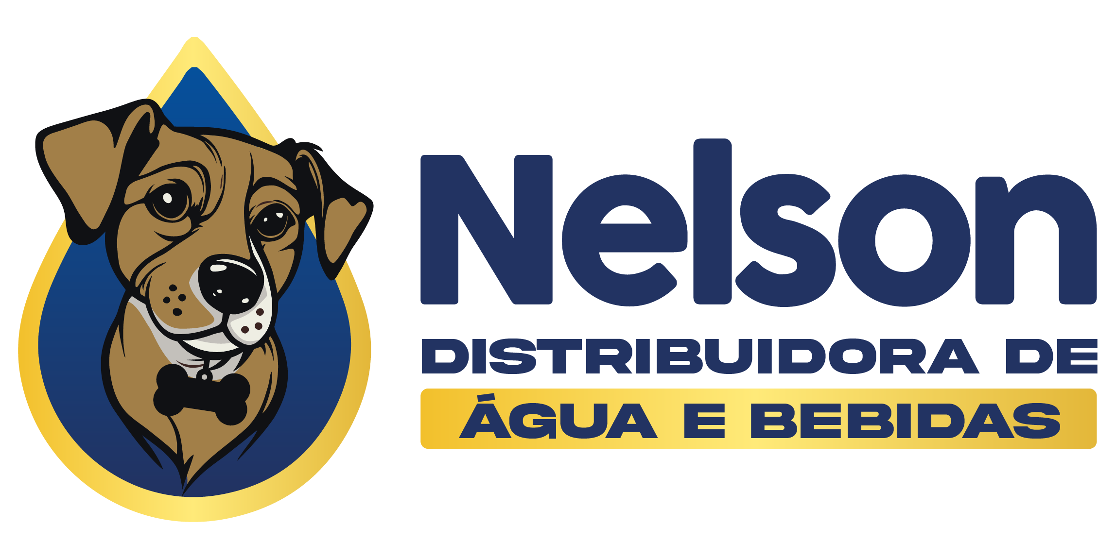Nelson Distribuidora